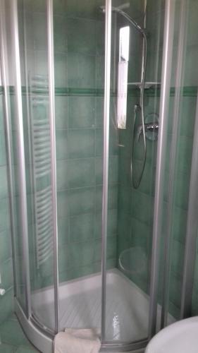 萨奥兹-杜尔克斯B&B Petit的浴室里设有玻璃门淋浴