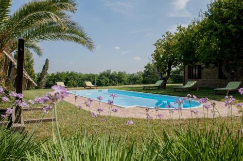 Castelbellino拉维奇亚丰堤农庄酒店的紫色花卉花园中的游泳池