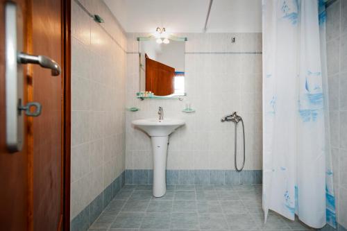 阿达玛斯叶莱妮酒店的一间带水槽和淋浴的浴室