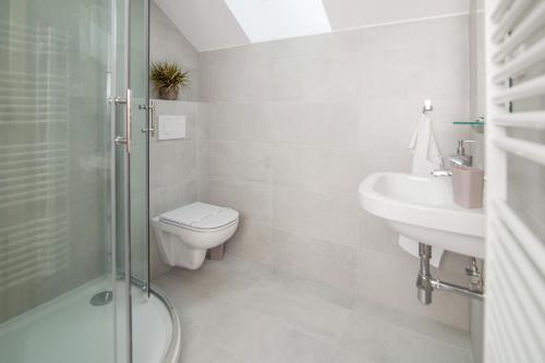 MalenoviceChata pod Lysou的浴室配有卫生间、盥洗盆和淋浴。