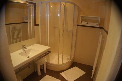斯拉德明Hotel Sonneck的带淋浴和盥洗盆的浴室