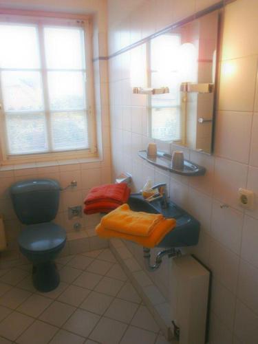 里斯特Westhof-7的浴室设有蓝色的卫生间和水槽。
