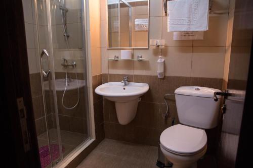 康斯坦察罗拉纳酒店的浴室配有卫生间、盥洗盆和淋浴。