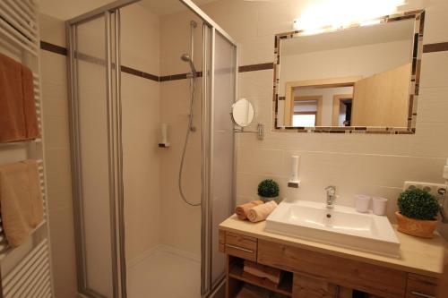 贝旺Gasthof Bergblick的带淋浴、盥洗盆和镜子的浴室