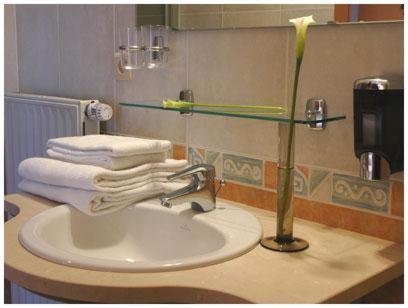 沙勒罗瓦南沙勒罗瓦机场酒店的一间带水槽和台面毛巾的浴室
