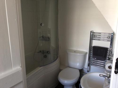 大托灵顿teapot cottage的带淋浴、卫生间和盥洗盆的浴室