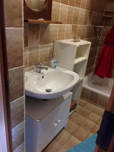 汉堡格罗高尔迷人度假屋的浴室配有白色水槽和淋浴。