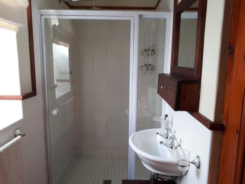 格拉夫-里内特De Kothuize 10的白色的浴室设有水槽和淋浴。