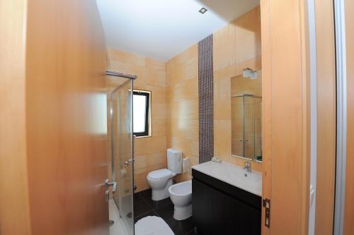 马尔科-德卡纳维泽斯quinta da pedrinha的浴室配有卫生间、盥洗盆和淋浴。