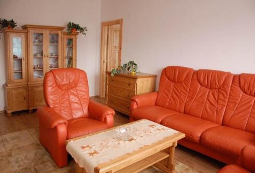 阿德尔什帕赫Apartman Horni Adrspach的客厅配有2张橙色沙发和咖啡桌