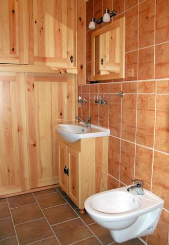 阿德尔什帕赫Apartman Horni Adrspach的一间带水槽和卫生间的浴室