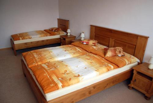 阿德尔什帕赫Apartman Horni Adrspach的配有2张床的客房