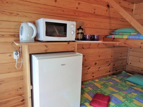 KargiSõrve Holiday Home的小屋内冰箱顶部的微波炉