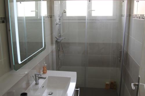 圣马洛Appartement lumineux et Agréable 6 Personnes的浴室配有盥洗盆和带镜子的淋浴