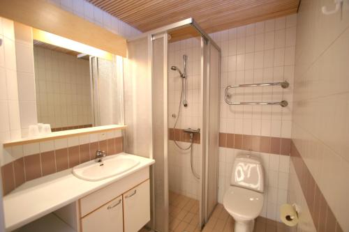 萨翁林纳Tanhuvaara Sport Resort的一间带水槽、卫生间和淋浴的浴室