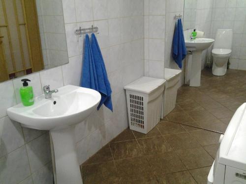 Jaani 2-1 Apartment的一间浴室