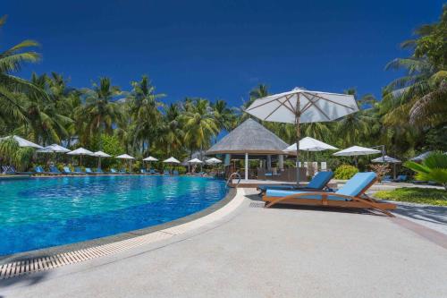 Bandos Maldives内部或周边的泳池