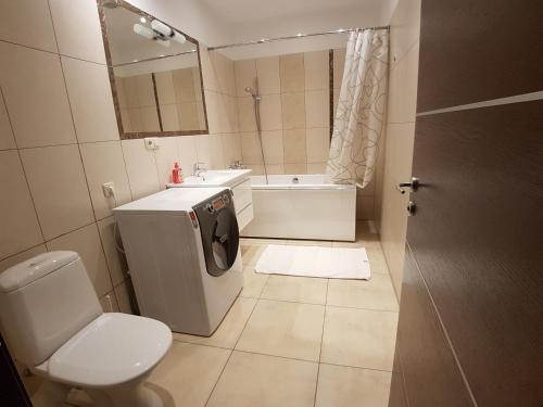 里加Maza Krumu 28的浴室配有卫生间、盥洗盆和浴缸。