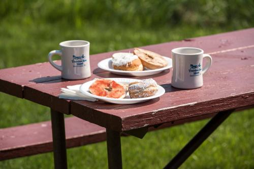 因特考斯旅行者休息汽车旅馆的野餐桌上放两杯和两盘糕点