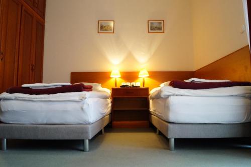 凯斯特海伊偶维特酒店的酒店客房设有两张床和一张带台灯的桌子。