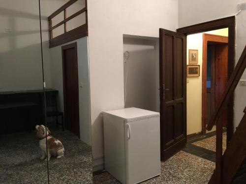 托尔托雷托Appartamento Esmeralda的一只狗坐在带小冰箱的房间