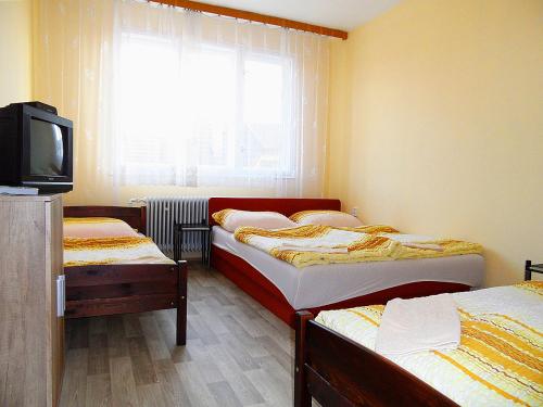 大帕夫洛维采Ubytování ve Vinařství Michna的一间卧室设有两张床、一台电视和一扇窗户。