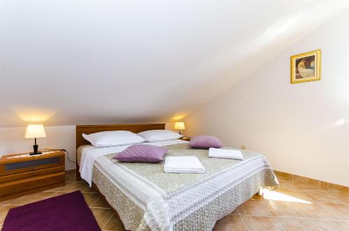 罗戈兹尼察Apartment LAVANDA的一间卧室配有两张带紫色枕头的床