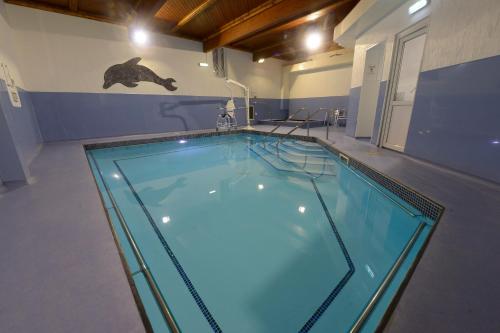 朴次茅斯Royal Maritime Hotel的一个带游泳池的房间中的一个大型游泳池