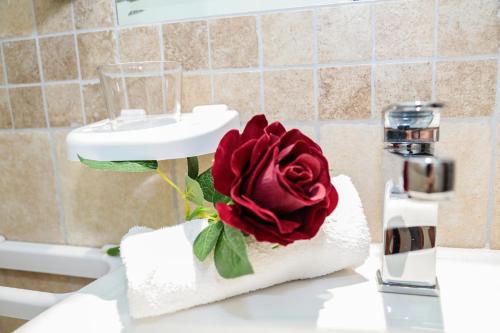 菲乌米奇诺菲乌米奇诺机场旅馆的红色玫瑰坐在浴室水槽顶部