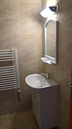GorneaVilla Rustica的一间带水槽和镜子的浴室