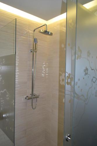 贝尔格莱德Garni Hotel Chicha - Winery ŠKRBIĆ的浴室里设有玻璃门淋浴