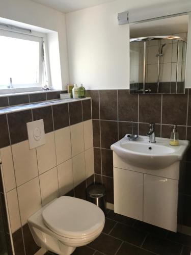 Sætra1-rom Apartment Sommer - Frøya的一间带卫生间和水槽的浴室