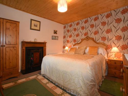 CommeenKerrigan's Cottage的一间卧室设有一张大床和一个壁炉