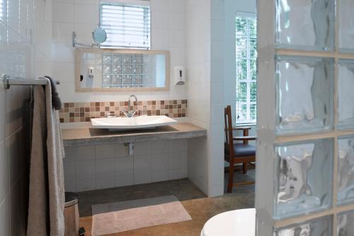约翰内斯堡Ten Stirling Bed & Breakfast的一间带水槽和镜子的浴室