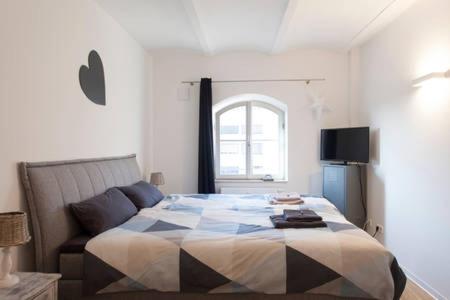 纽伦堡Stadt-Apartment的一间卧室设有一张大床和一个窗户。