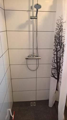 霍芬塞夫达鲁尔一室公寓的带淋浴的浴室和玻璃墙