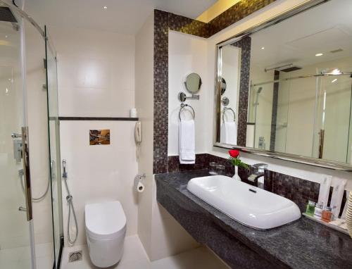 特里凡得琅中央居酒店的一间带水槽、卫生间和镜子的浴室