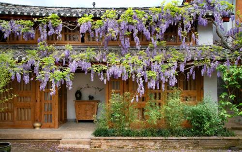 丽江吾爱堂的一座紫色花朵的建筑