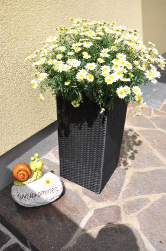 韦斯滕多夫利奥民宿的人行道上满是黄色花的黑色花瓶