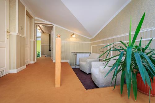 塔尔努夫Ricardpol Noclegi的带沙发和植物的客厅