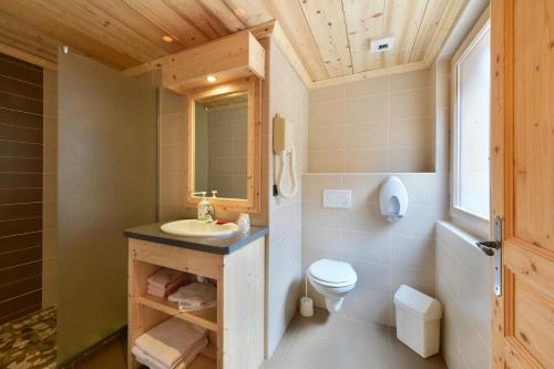莱热洛克酒店的一间带水槽和卫生间的浴室