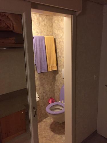 阿尔卑纳赫施塔德Rössli Apartment的浴室配有卫生间和墙上的毛巾。