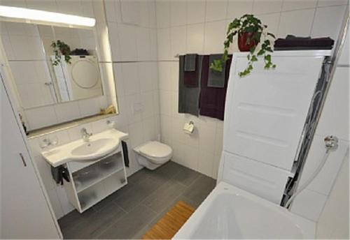 劳特布龙嫩舒适阁楼公寓的一间带水槽、卫生间和镜子的浴室