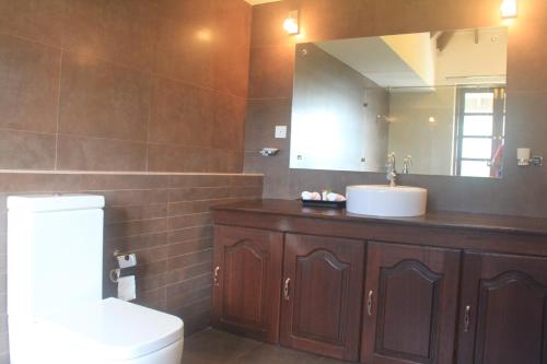努沃勒埃利耶罗莎别墅的一间带卫生间、水槽和镜子的浴室