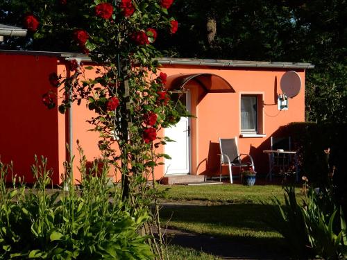 特伦特FeWo WE 6402 Ferien u Angeln auf Rügen-ruhige Lage,Garten!的一座小房子,花园内种有红色玫瑰