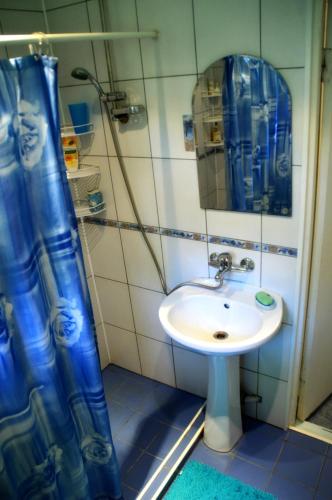 冉那库拉Roosi Holiday Home的浴室设有水槽和蓝色的浴帘