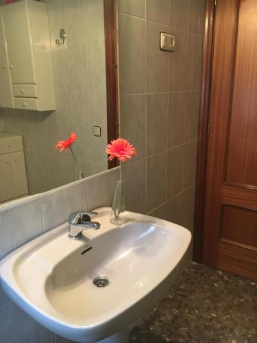 特连特Casa Rural El Chorrillo的浴室水槽内装有花瓶