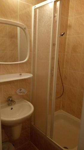 OsiekiHostel Dworek Osiecki KORAL的带淋浴、盥洗盆和卫生间的浴室