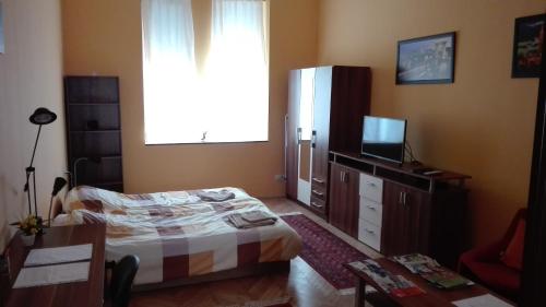 布达佩斯Cute apartment close to the center的一间卧室设有一张床、一台电视和一个窗口。