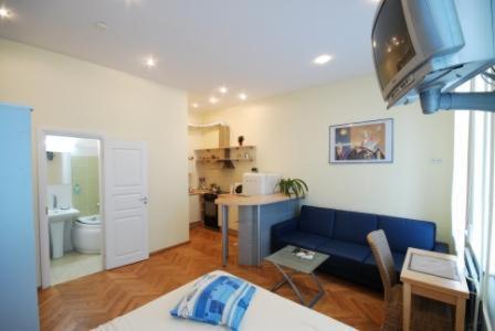考纳斯考纳斯公寓的一间带蓝色沙发的客厅和一间厨房